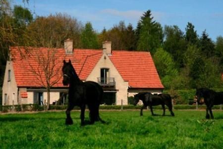 B&B Heerlijkhyd Hertsberge ภายนอก รูปภาพ