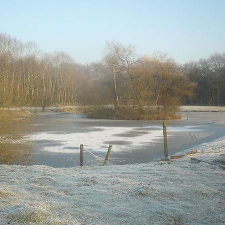 B&B Heerlijkhyd Hertsberge ภายนอก รูปภาพ