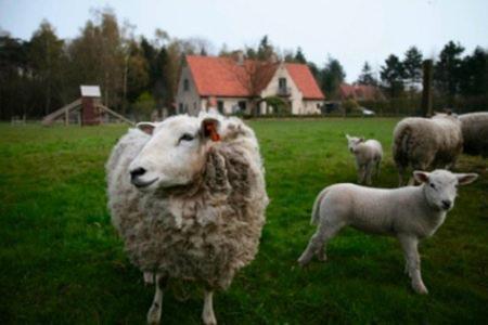 B&B Heerlijkhyd Hertsberge ภายนอก รูปภาพ